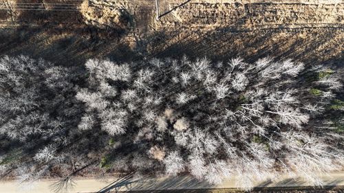 Parcel B Parameter Road, Deer River, MN, 56636 | Card Image