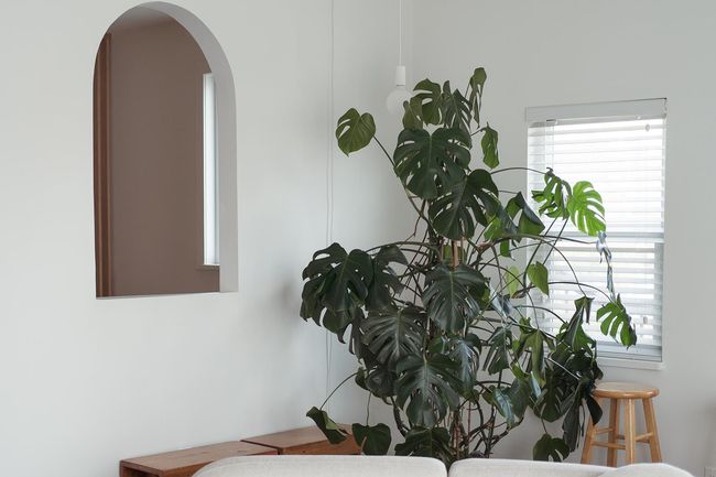 Detailed view of arched walkways | Image 17