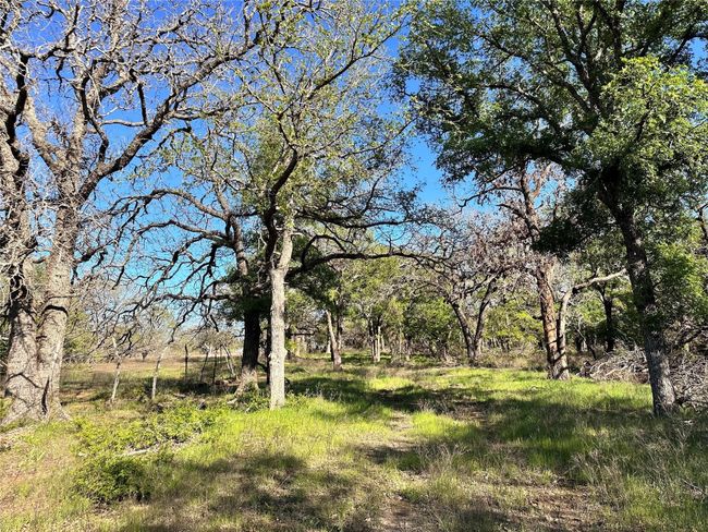 Lot 13 Cr 127, Home with 0 bedrooms, 0 bathrooms and null parking in Carlton TX | Image 13