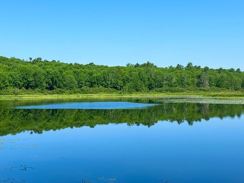 00LowerFal Lower Falls Rd, Orland, ME, 04472 | Card Image