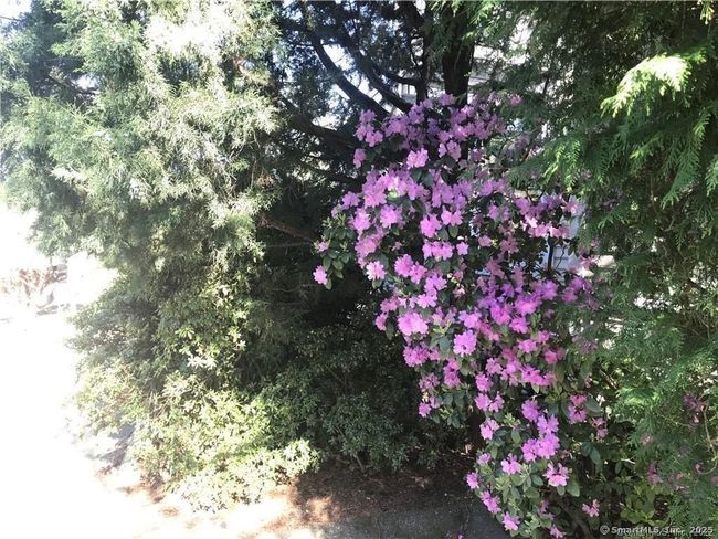 APT-4 - 490 Riverside Ave, Home with 1 bedrooms, 1 bathrooms and 1 parking in Westport CT | Image 20