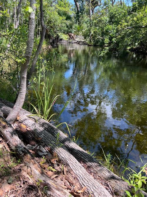 00 Sw 717th Ln, Steinhatchee, FL, 32359 | Card Image