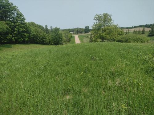 1 Crystal Beach Road, Pelican Rapids, MN, 56572 | Card Image