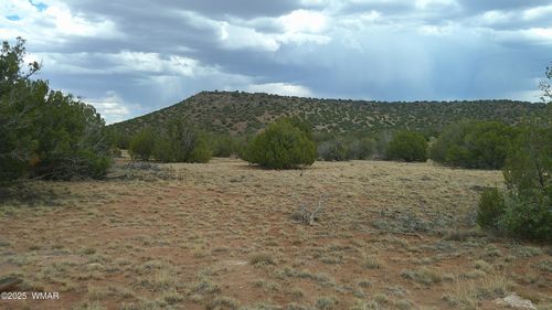 2716 Zaidee Rd, Show Low, AZ, 85901 | Card Image