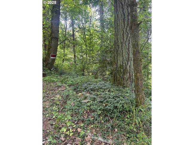 1278 Sw 27 Th Ct, Home with 0 bedrooms, 0 bathrooms and null parking in Gresham OR | Image 6