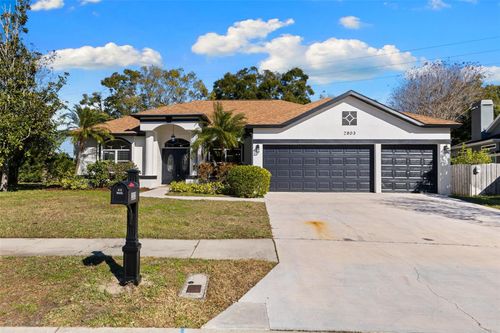 2803 Jarvis Cir, PALM HARBOR, FL, 34683-7234 | Card Image