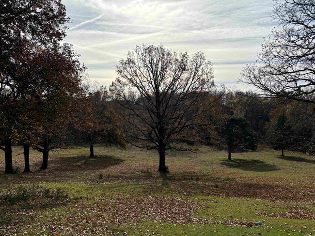 00 Cadron Gap Rd, Home with 0 bedrooms, 0 bathrooms and null parking in Conway AR | Image 44