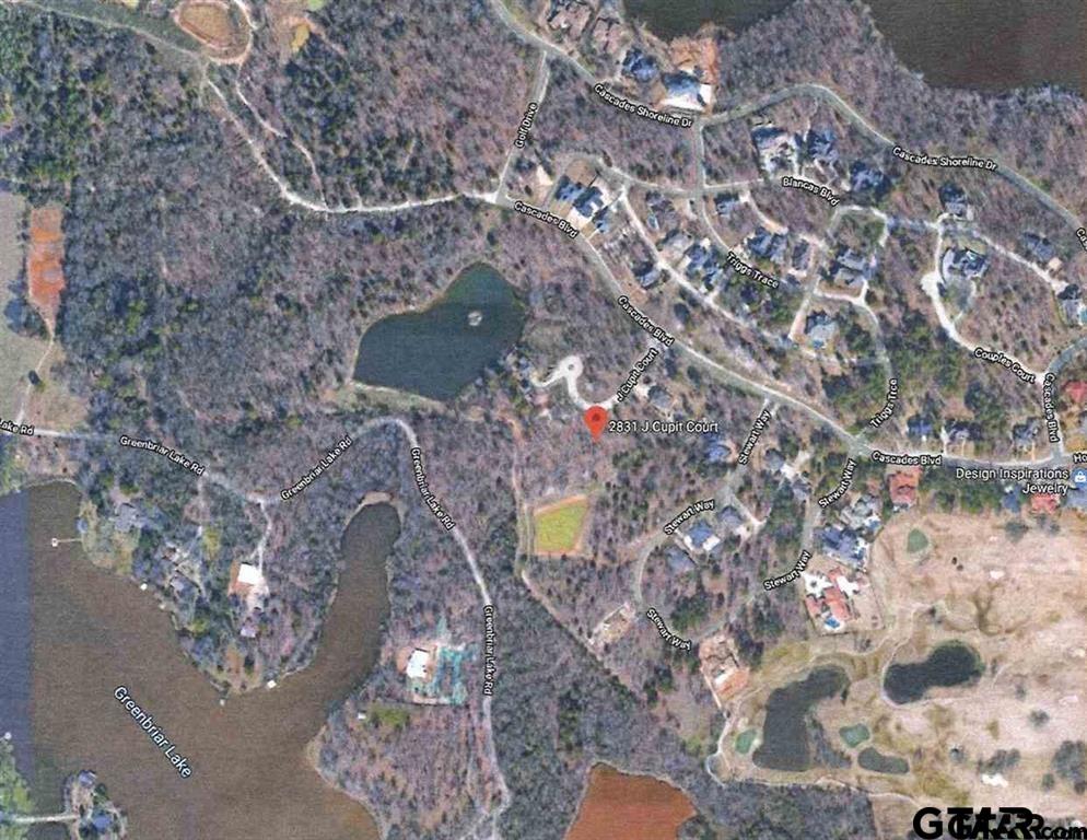 Land in Tyler 3