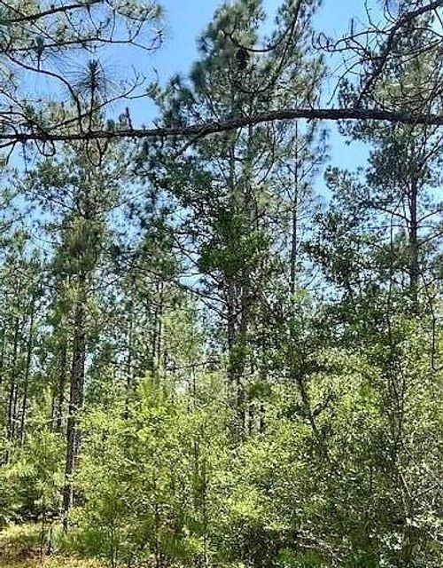 NHN Magee Ln, Lumberton, MS, 39455 | Card Image