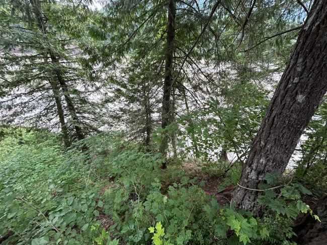 Lot 6 Trans Canada Highway, Home with 0 bedrooms, 0 bathrooms and null parking in Yale BC | Image 25