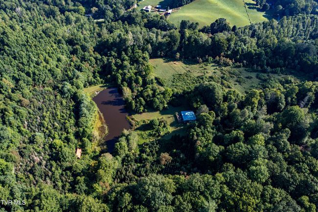 306 Bear Branch Rd, Home with 0 bedrooms, 0 bathrooms and null parking in Roan Mountain TN | Image 22