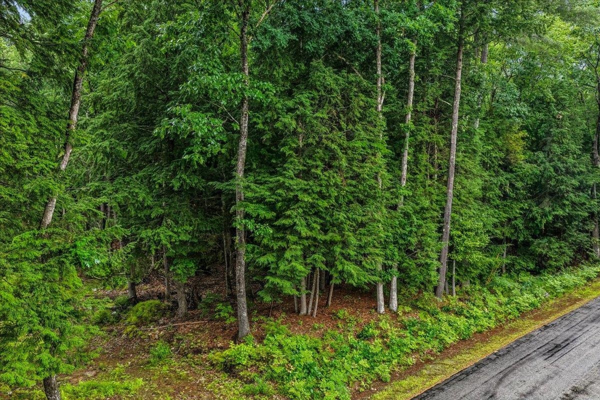 Land in Webster 5