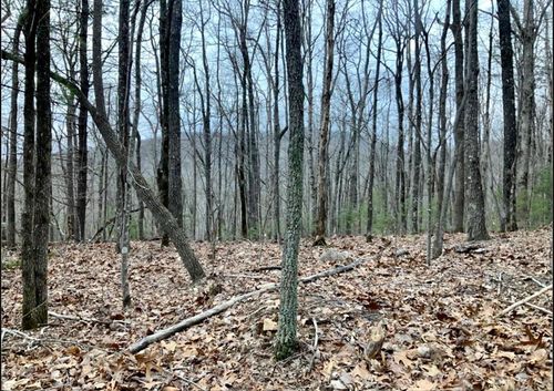 Tract 21 Old Parker Ter, Ellijay, GA, 30536 | Card Image