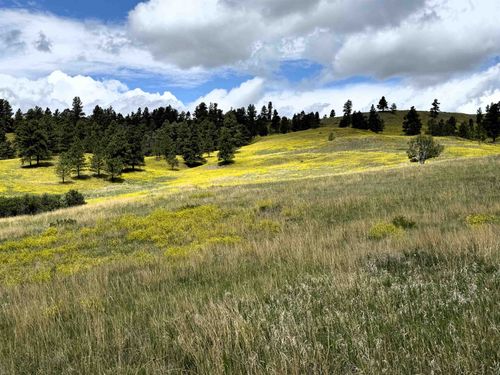 TBD Tower Ridge Rd, Devils Tower, WY, 82714 | Card Image
