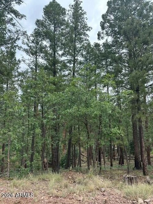 52-15 Buttermilk Ln, Alpine, AZ, 85920 | Card Image