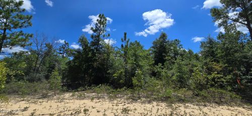 Lot 2 Converse Ave, Chipley, FL, 32428 | Card Image