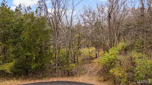 3701 Bear Tooth Ln, Wildwood, MO, 63069-2532 | Card Image