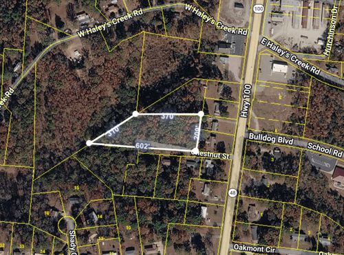 0 Chestnut St, Centerville, TN, 37033 | Card Image