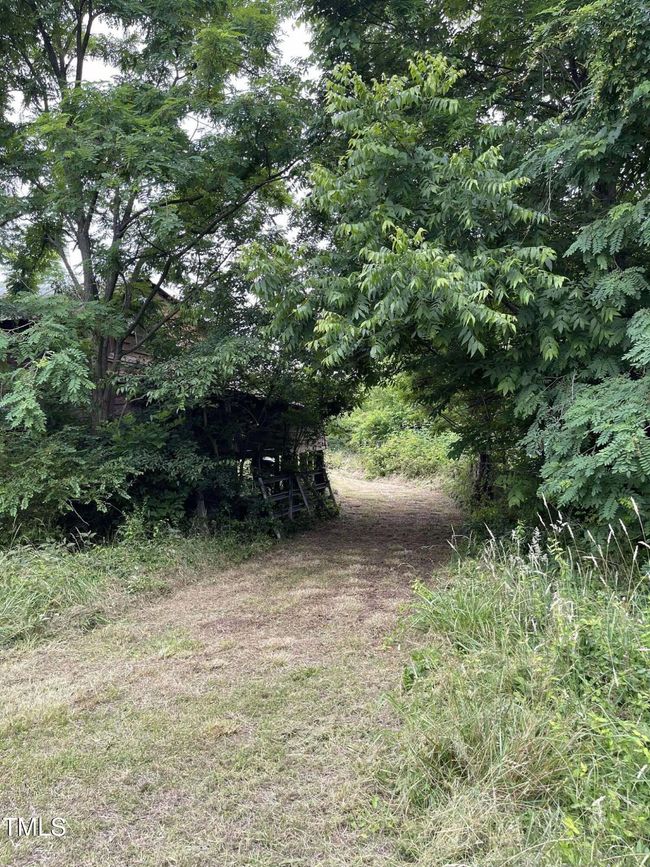 Path | Image 7