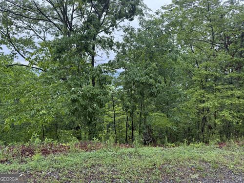 321 Oberlin Ct, Ranger, GA, 30734 | Card Image