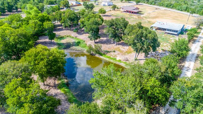Nice stock pond surrounded by mature trees. | Image 6