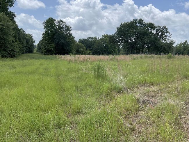 0 Lee Rd, Home with 0 bedrooms, 0 bathrooms and null parking in Murchison TX | Image 4