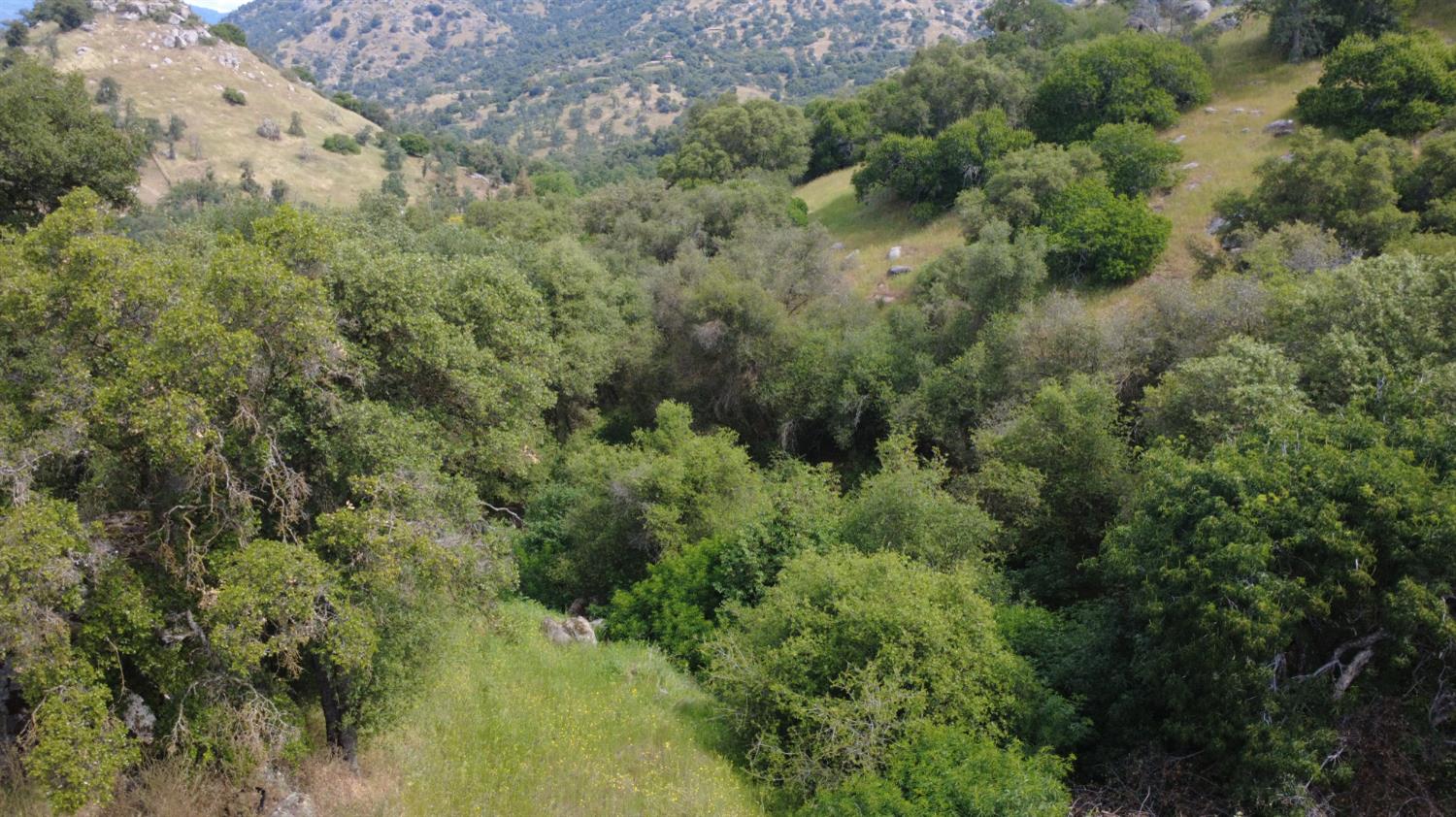 Land in Yokuts Valley 3