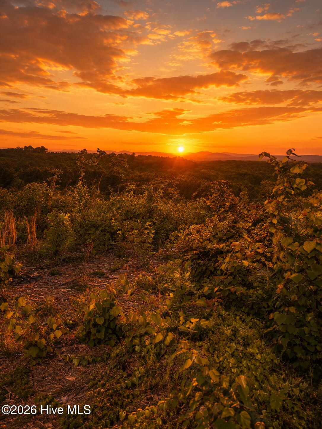 Land in Asheboro 4