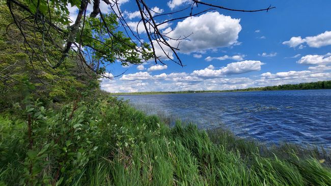 View from Busties Lake Access | Image 33