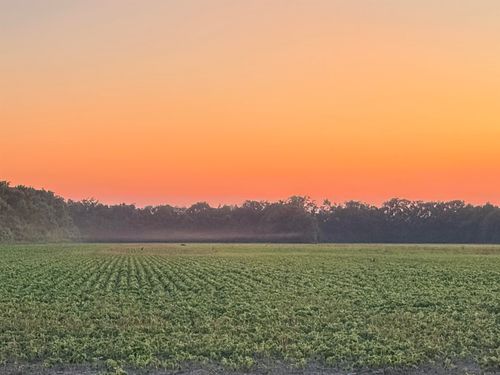 00 Copeland, Crawfordsville, AR, 72327 | Card Image