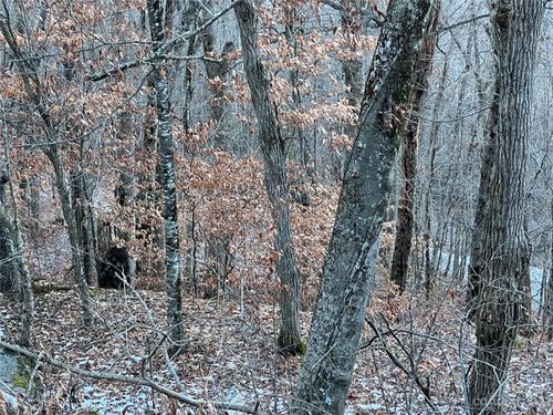 182-000 Weaver Ln, Mars Hill, NC, 28754 | Card Image