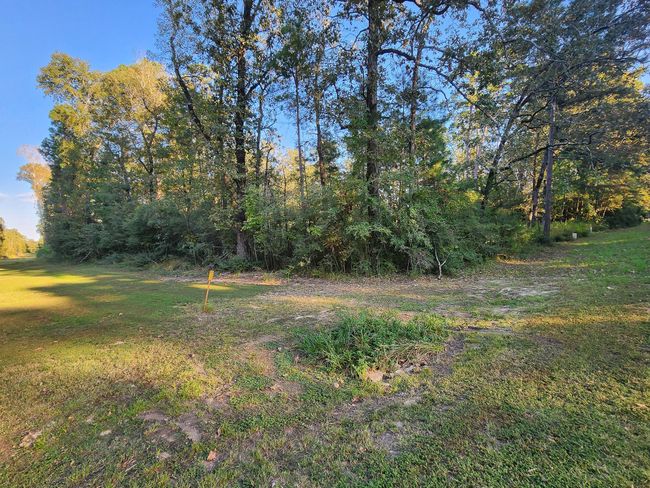 0 Hackberry Dr, Home with 0 bedrooms, 0 bathrooms and null parking in Onalaska TX | Image 4