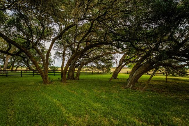 104 Hartfield Rd, Home with 4 bedrooms, 5 bathrooms and 3 parking in Round Top TX | Image 47