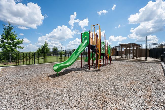 View of community jungle gym | Image 32