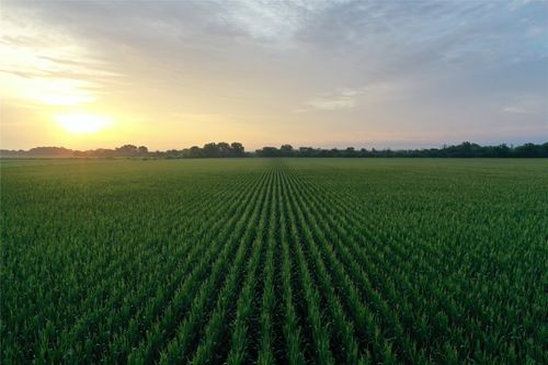 00 Us Highway 59, Shenandoah, IA, 51601 | Card Image