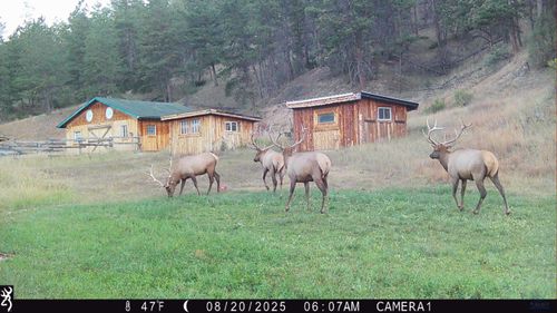 TBD Other, Hot Springs, SD, 57747 | Card Image