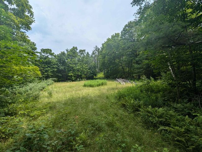 4393 Vt Route 131, House other with 2 bedrooms, 2 bathrooms and null parking in Perkinsville VT | Image 27