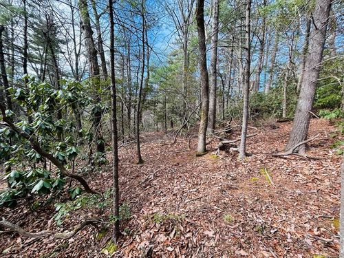 TBD Chalet Dr, Fancy Gap, VA, 24328 | Card Image
