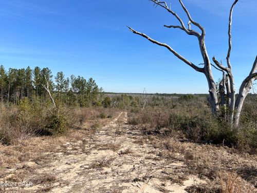 0 James Luther St, Ponce De Leon, FL, 32455 | Card Image