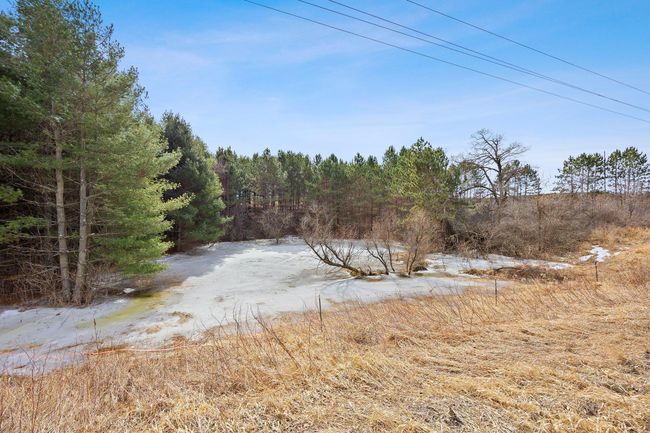 Pond | Image 7