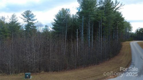 34-597 Peninsula Reserve Rd, Nebo, NC, 28761 | Card Image