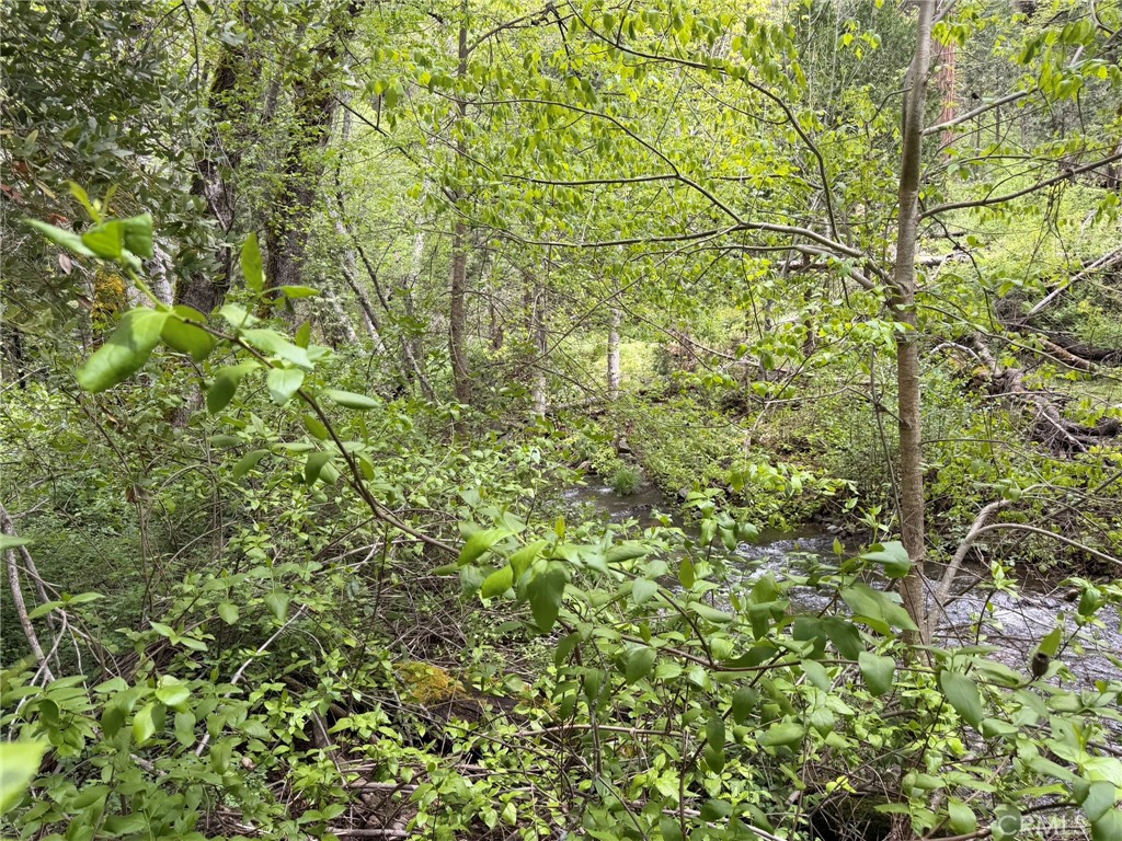 Land in Coulterville 4