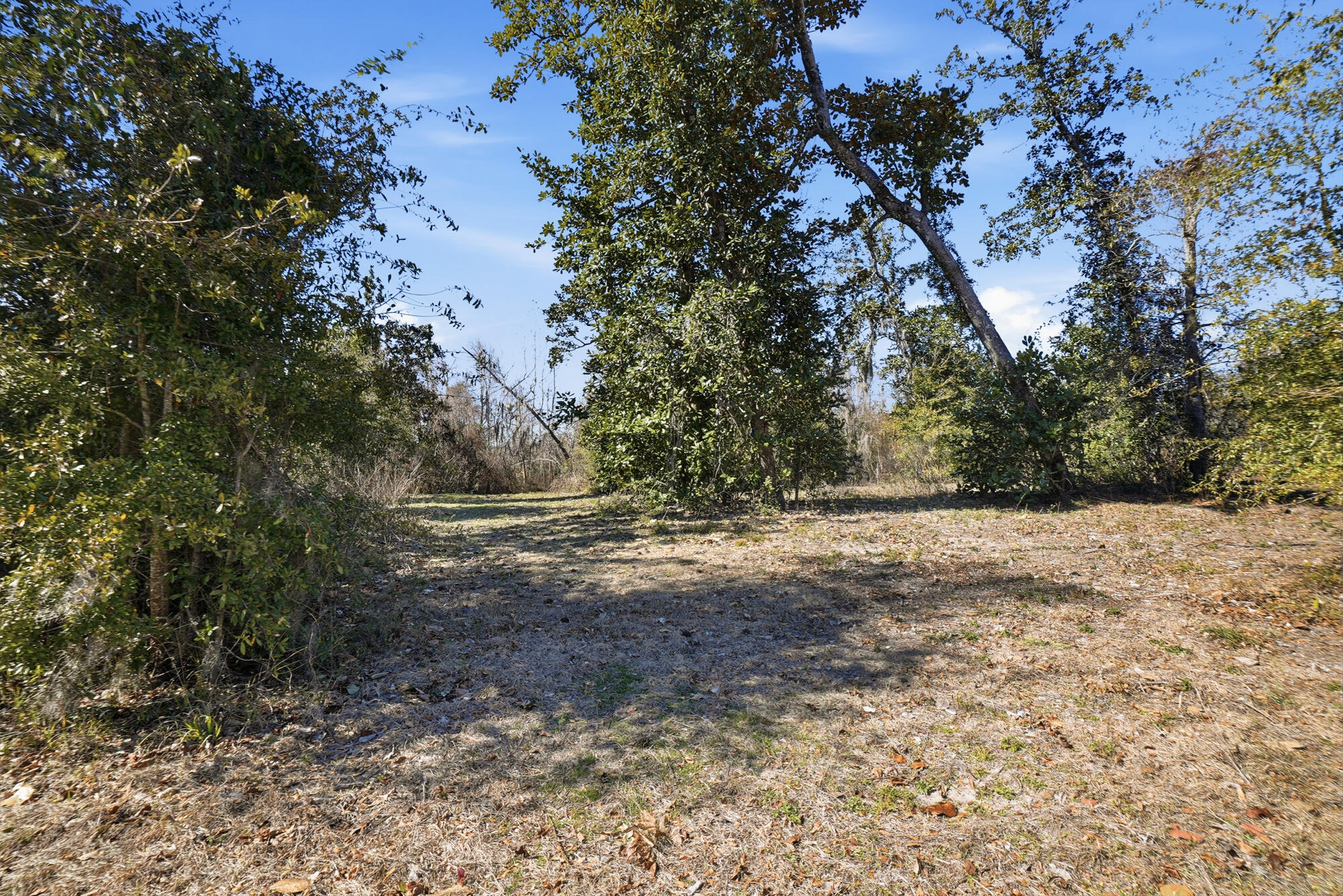 Land in Youngstown 4