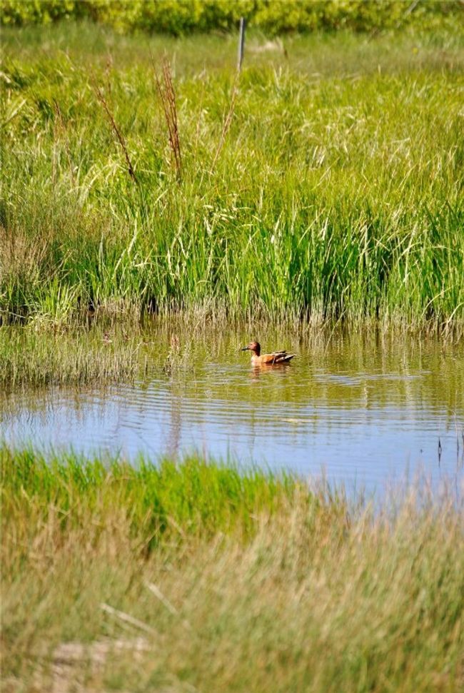 Water view | Image 42