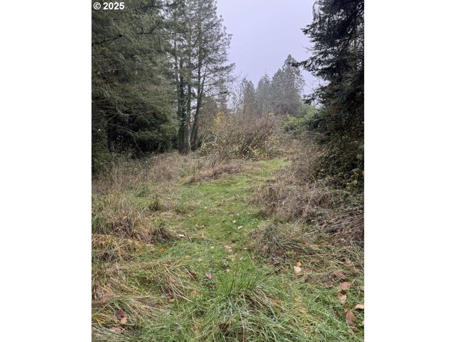 12192 S Mulino Rd, House other with 3 bedrooms, 1 bathrooms and null parking in Canby OR | Image 20