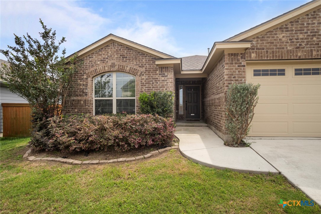 Residential in San Marcos 4
