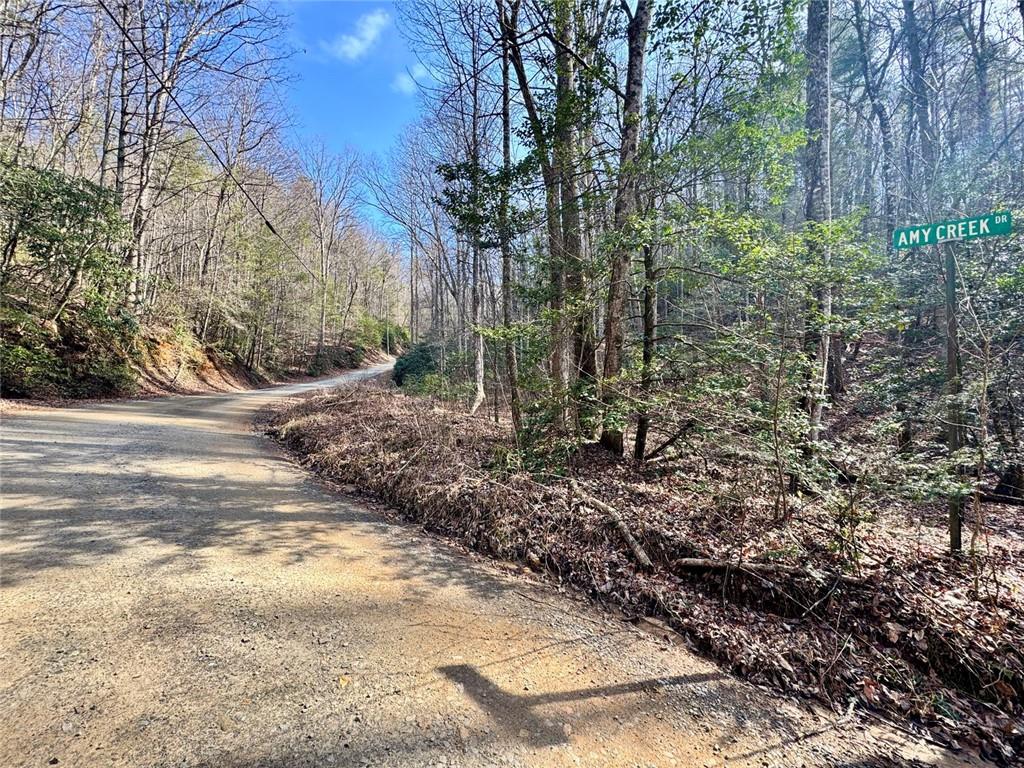 Land in Ellijay