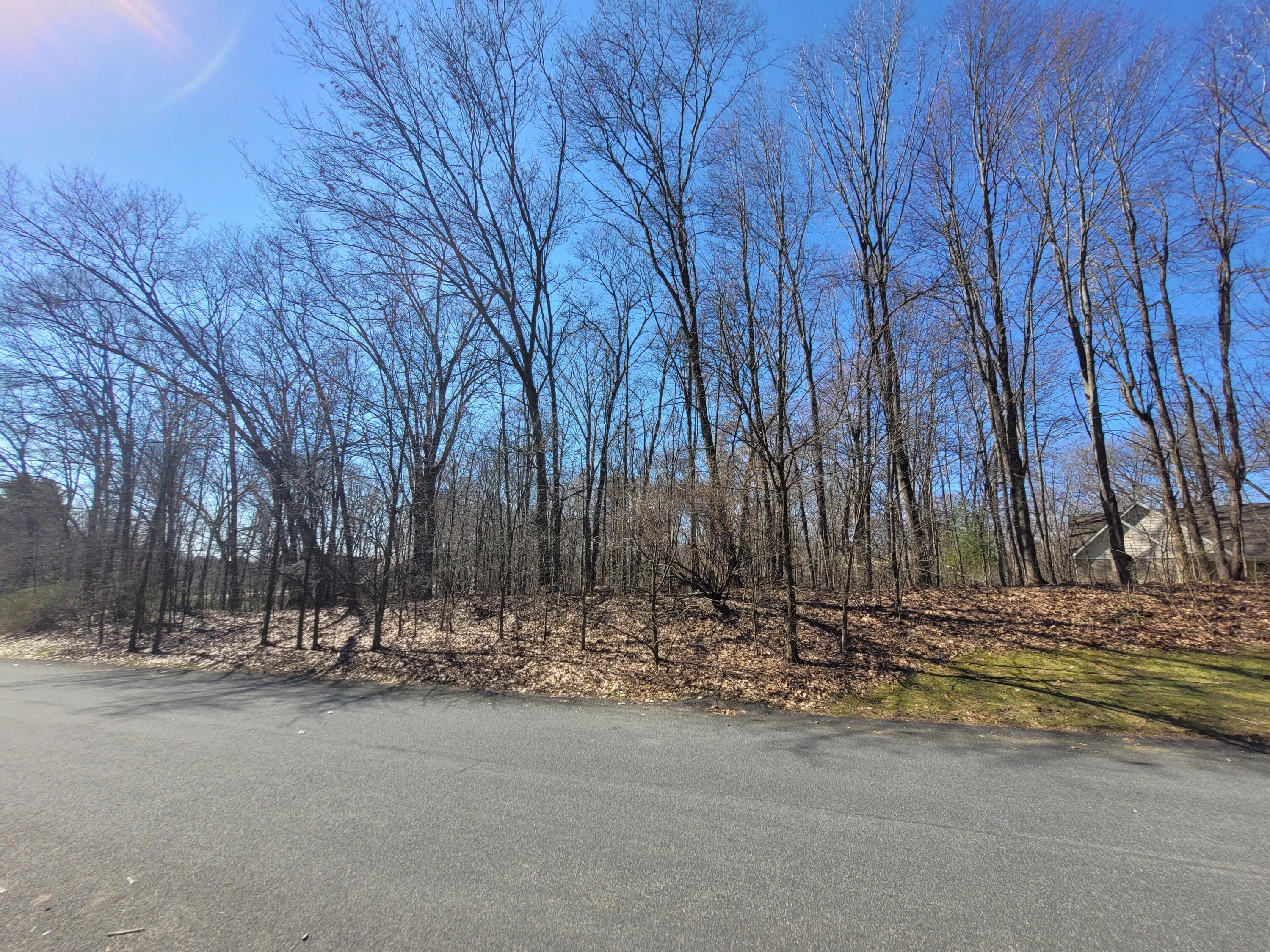 Land in Augusta
