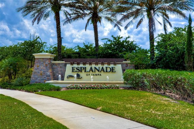 8433 Alberata Vista Dr, House other with 2 bedrooms, 2 bathrooms and null parking in Tampa FL | Image 50