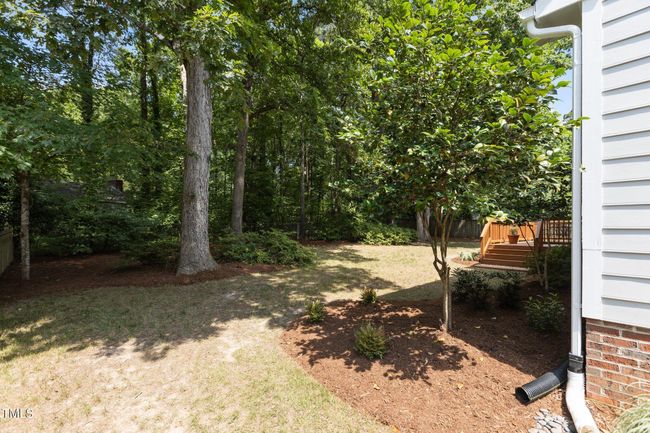 33-web-or-mls-2N6A3561 | Image 4